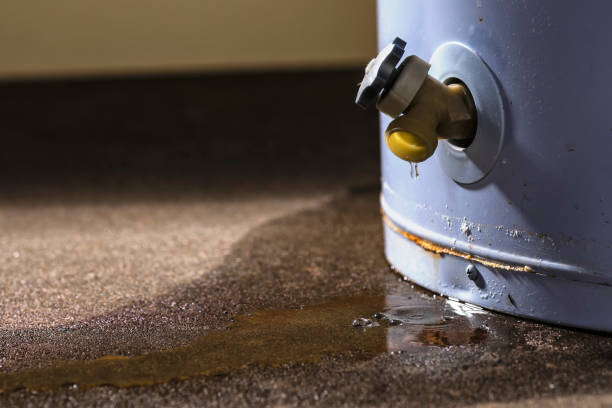 Best Flooded house restoration  in Bunnell, FL