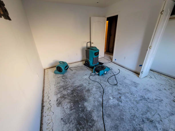 Best Sewage cleanup and water damage restoration  in Bunnell, FL