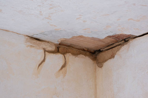Best Basement water damage restoration  in Bunnell, FL