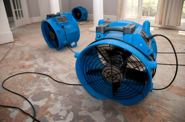 Best Fire Damage Restoration  in Bunnell, FL