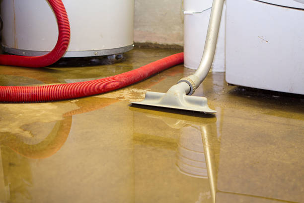 Best 24/7 water damage repair  in Bunnell, FL