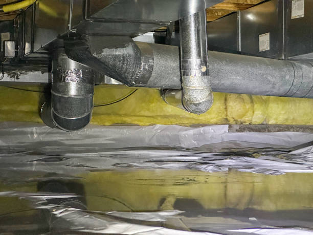 Best Water damage restoration specialists  in Bunnell, FL