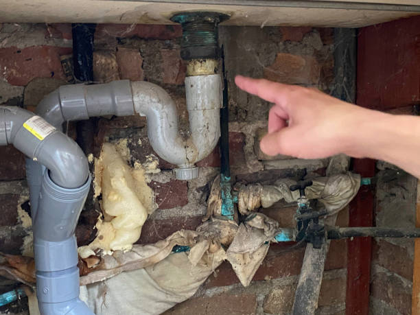 Best Carpet water damage restoration  in Bunnell, FL